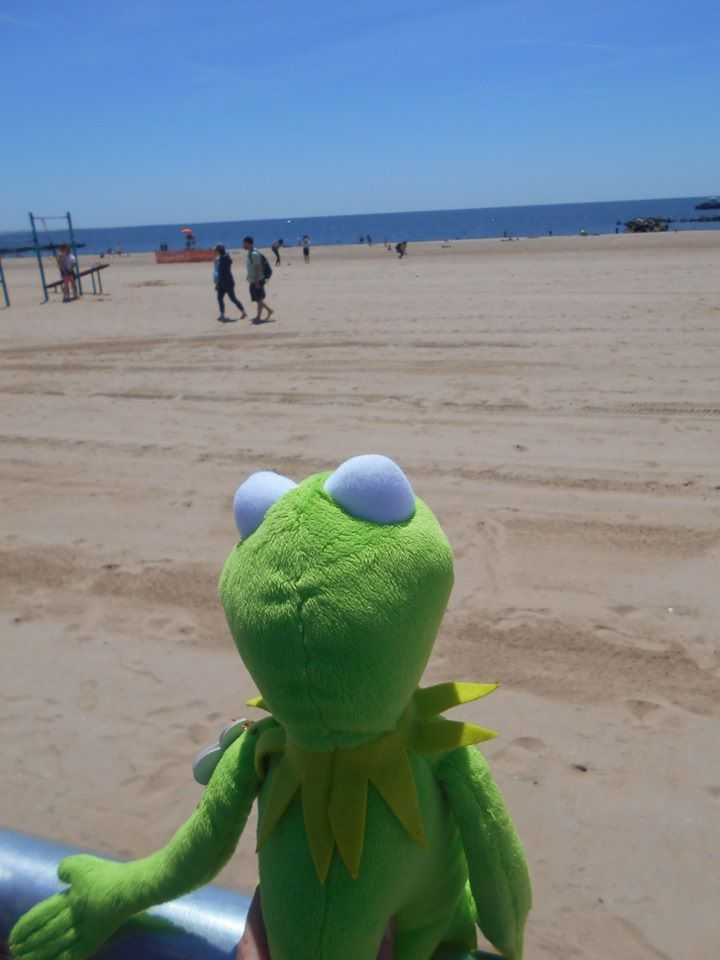 Kermit at Coney Island