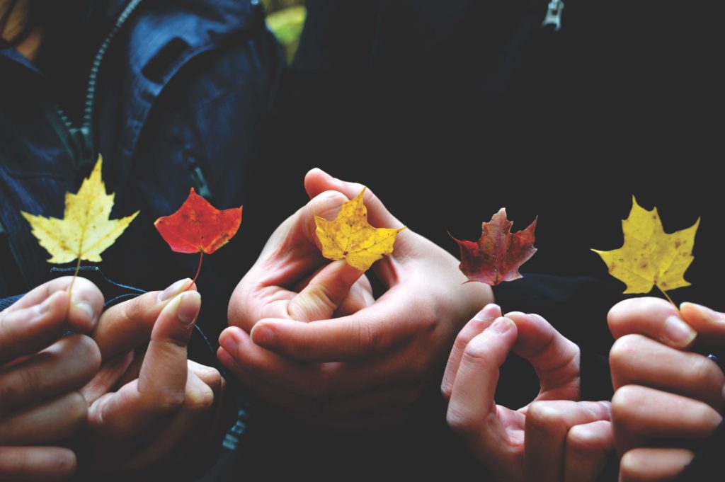 multicultural hands holding colorful leaves