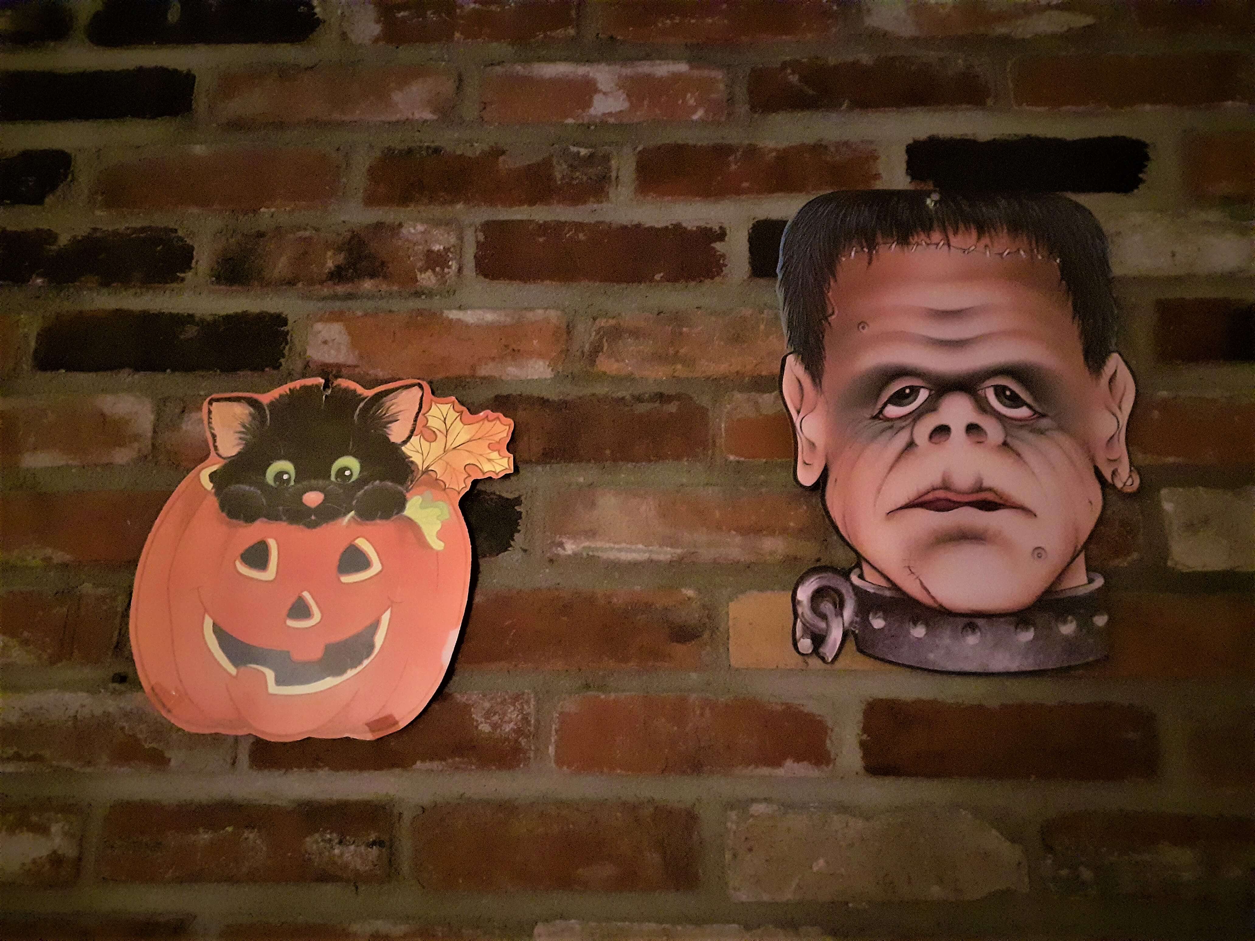 cat in pumpkin and Frankenstein decorations