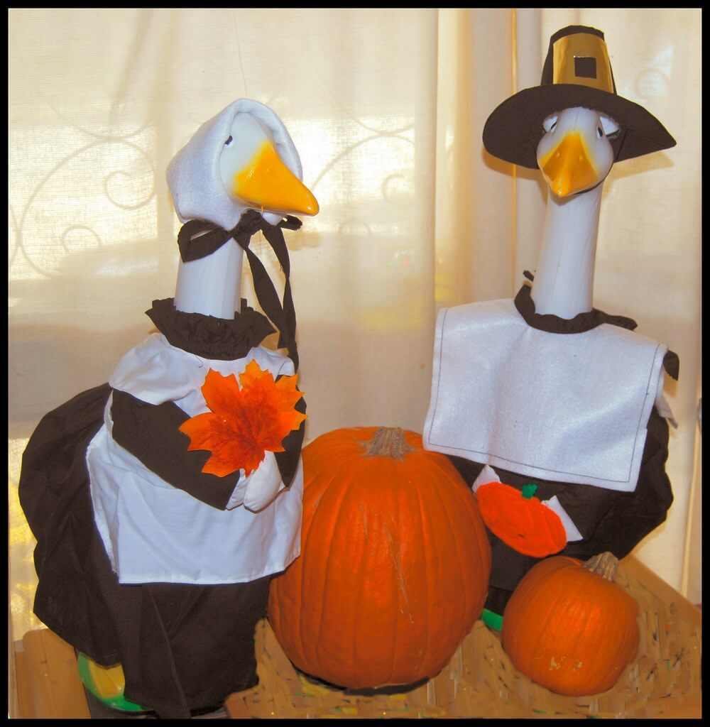 pumpkin geese