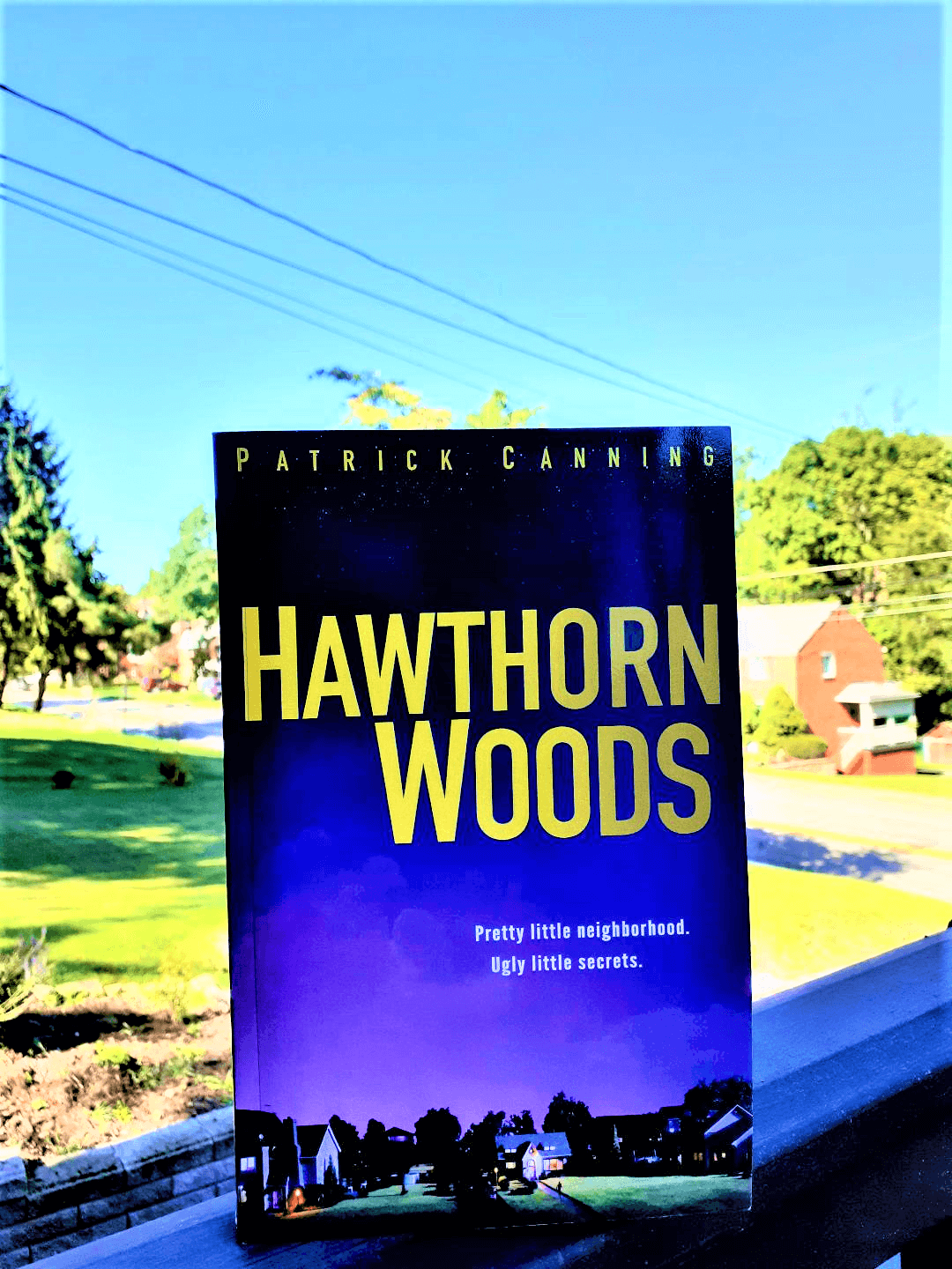 Hawthorn Woods Neighborhood