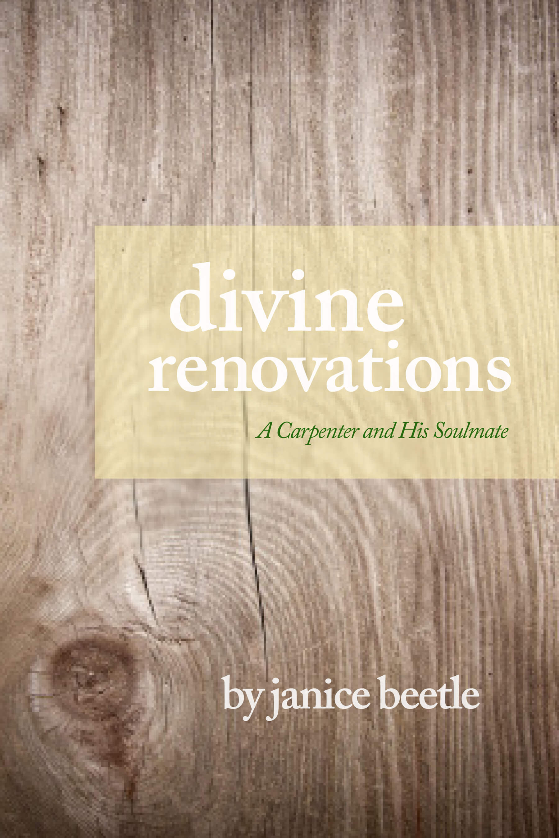 Divine Renovations cover