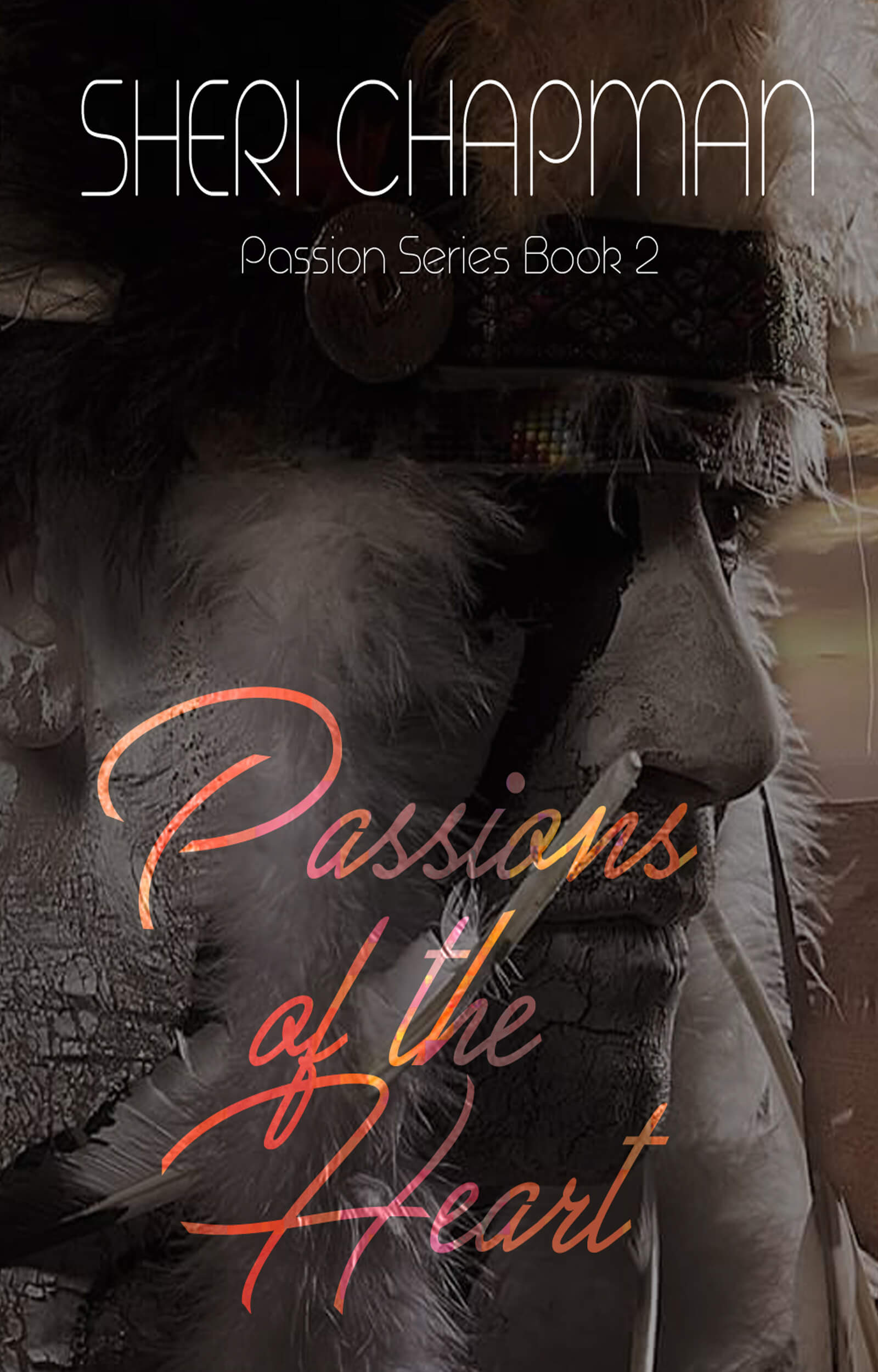 Passion of the Heart book cover