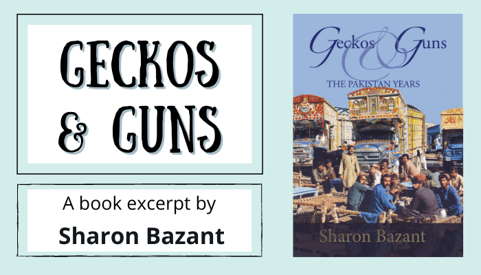 Geckos and Guns banner