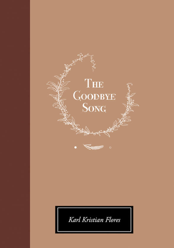 The Goodbye Song book cover