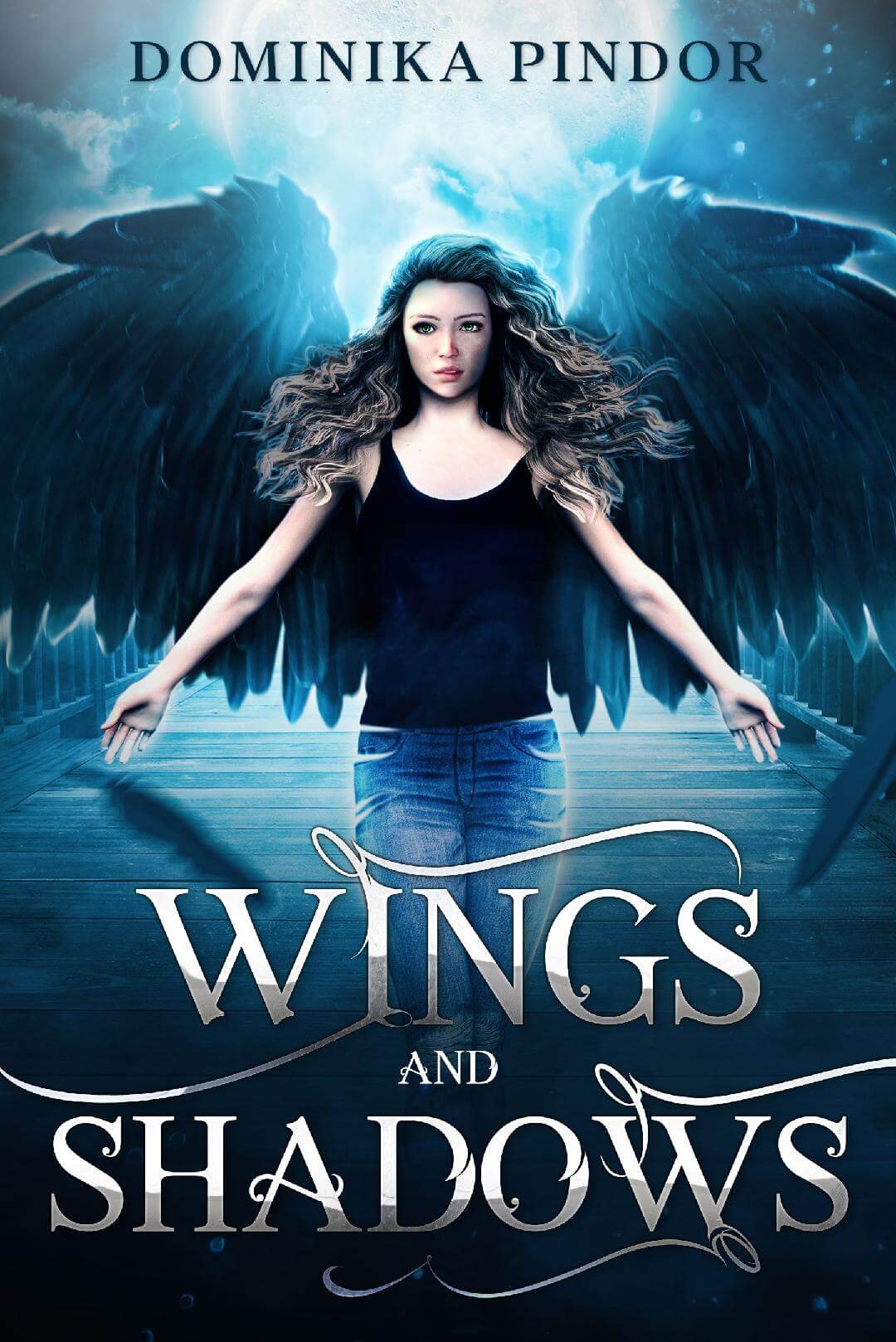 Wings and Shadows book cover