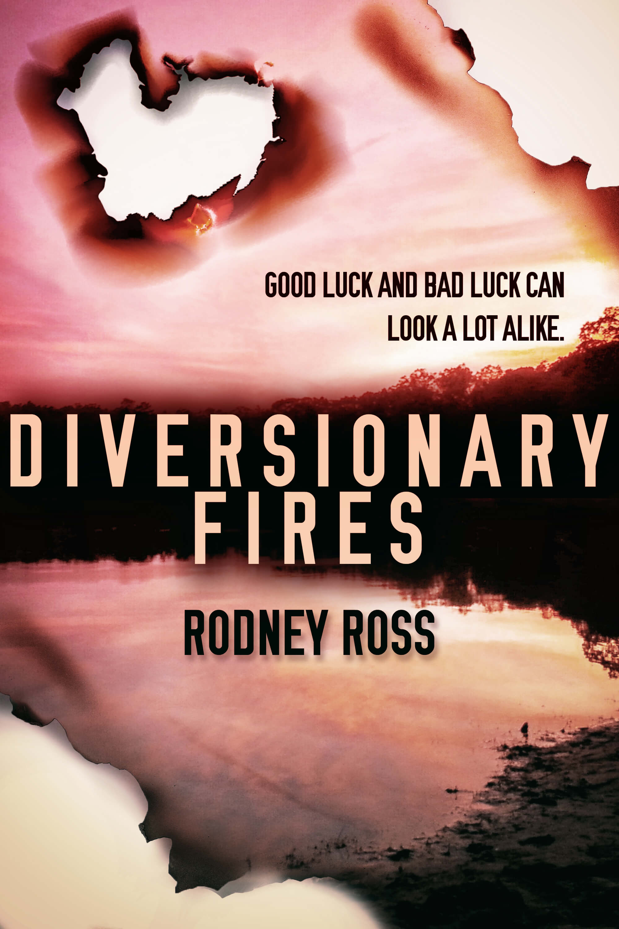 Diversionary Fires book cover