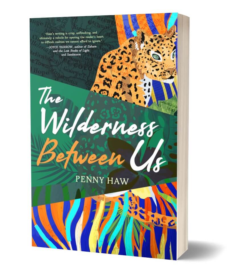 The Wilderness Between Us book cover