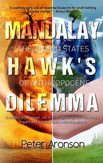 Mandalay Hawk's Dilemma book cover