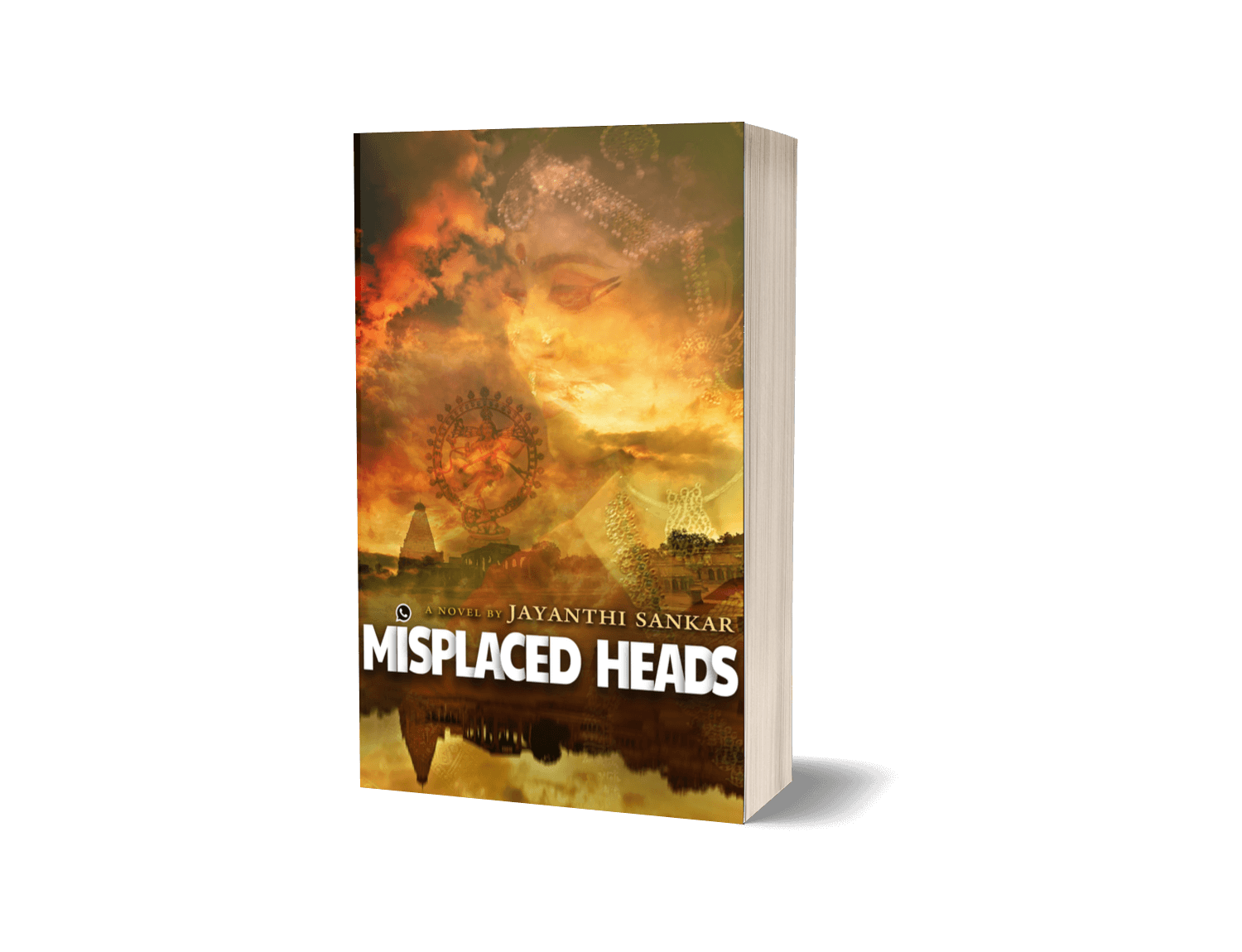 Misplaced Heads book cover