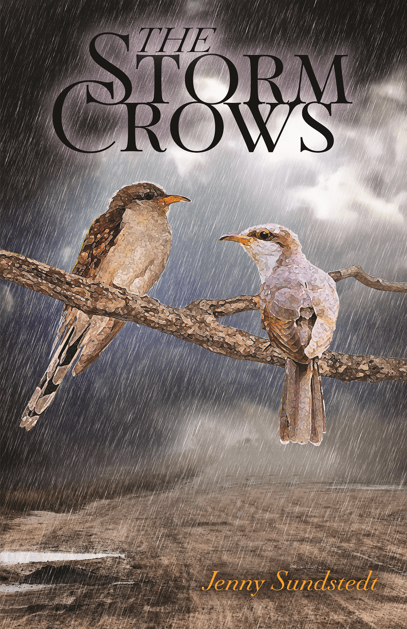 The Storm Crows Book Cover