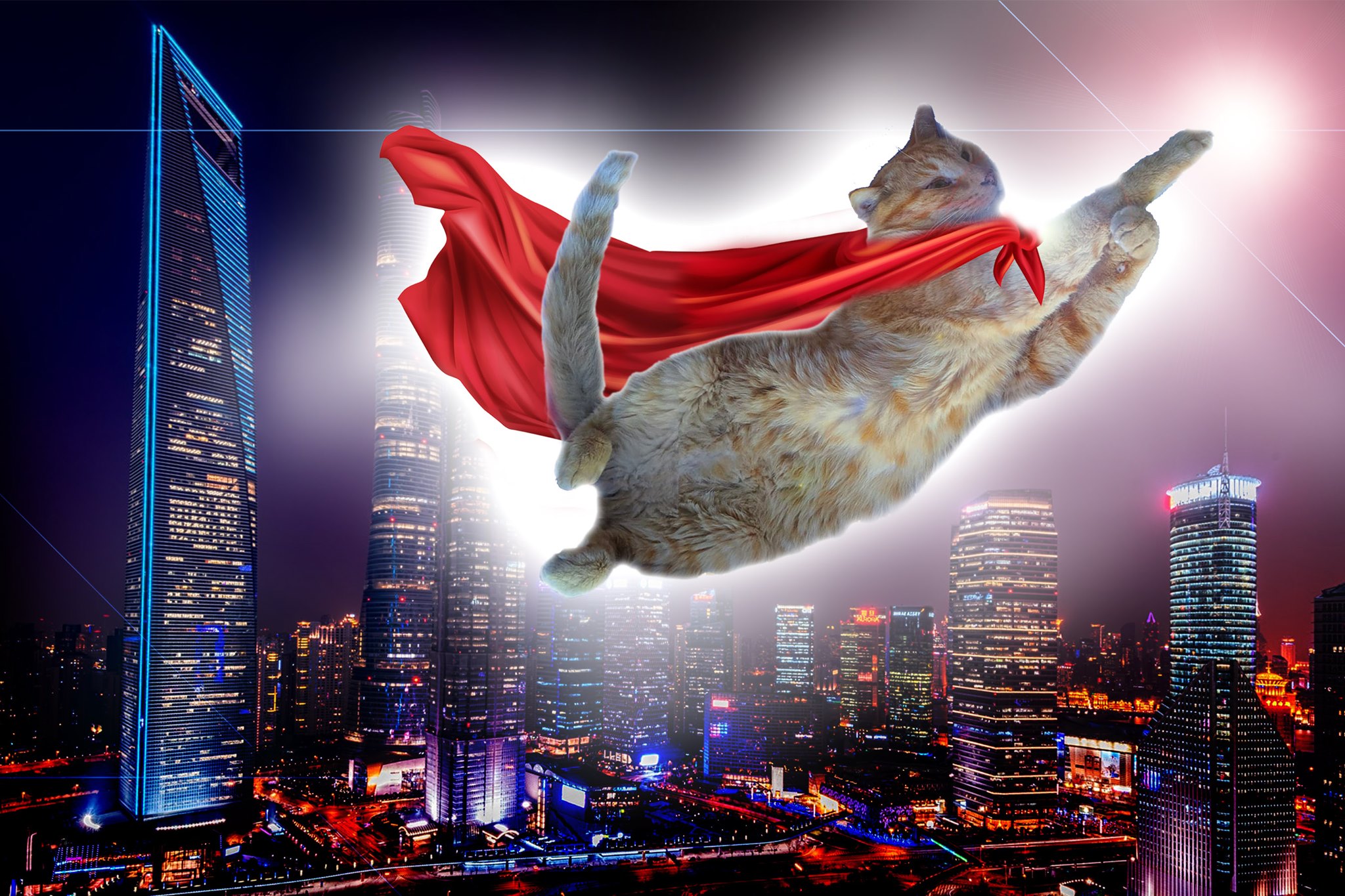 Super Cat