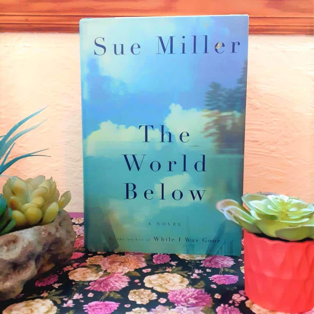 The World Below book cover