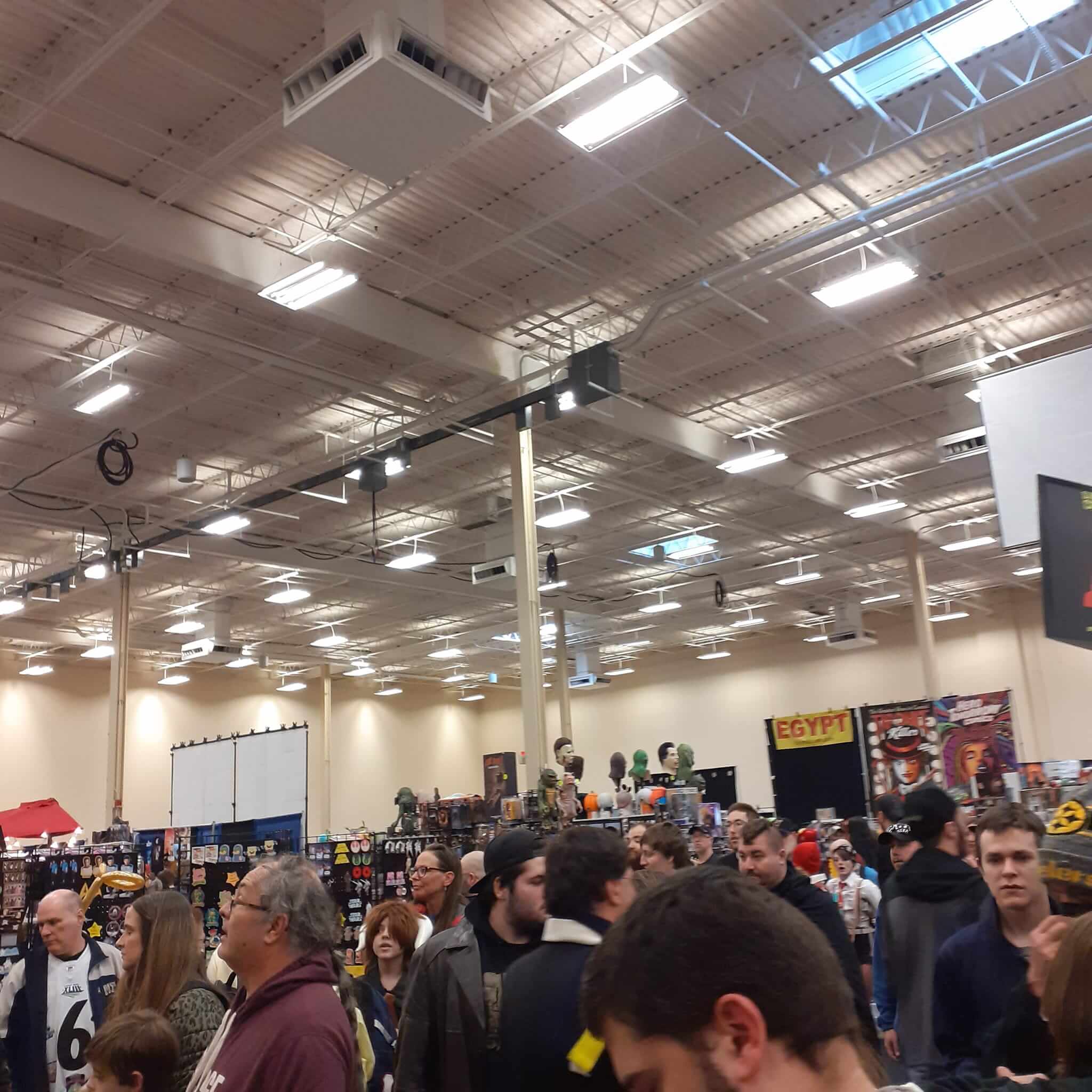 steel city con crowd