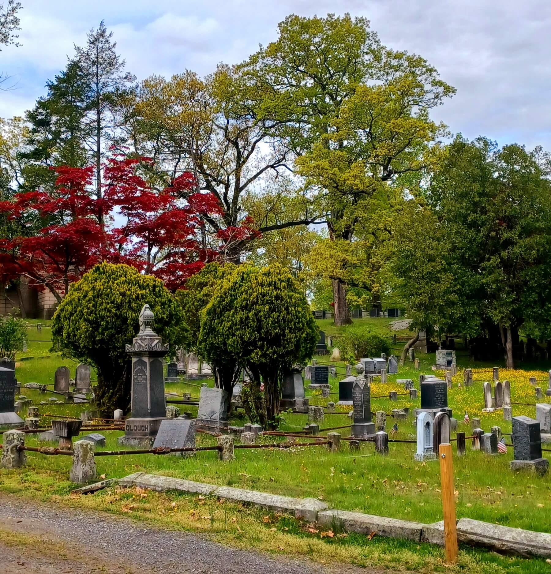 cemetery graves