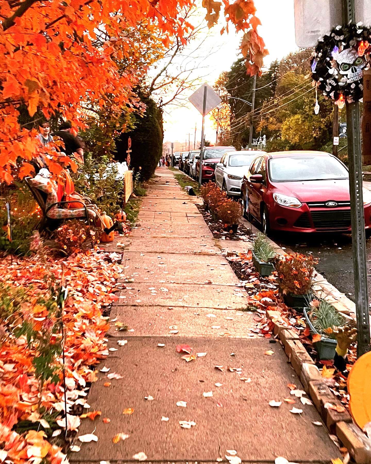 fall neighborhood