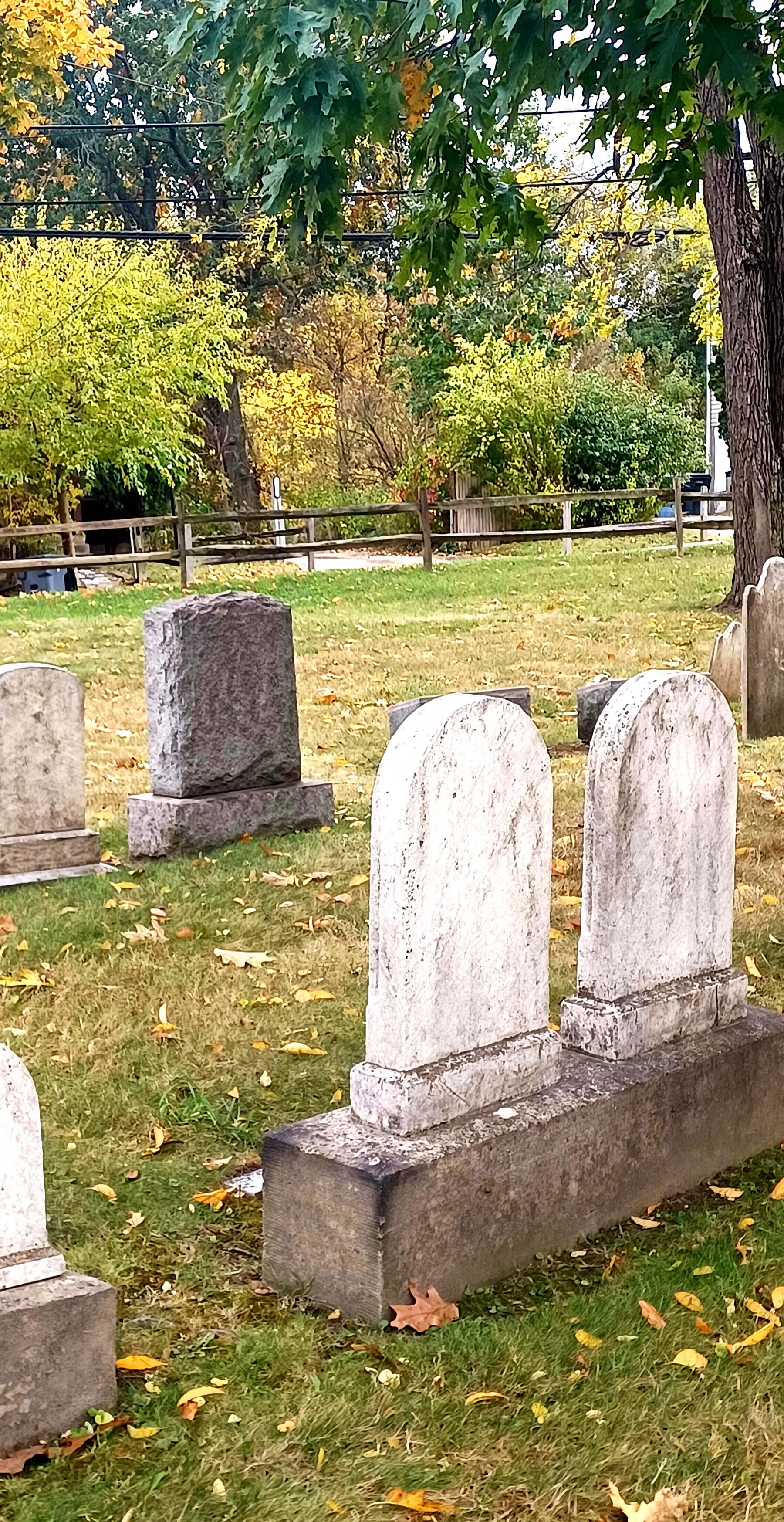 reading in a cemetery