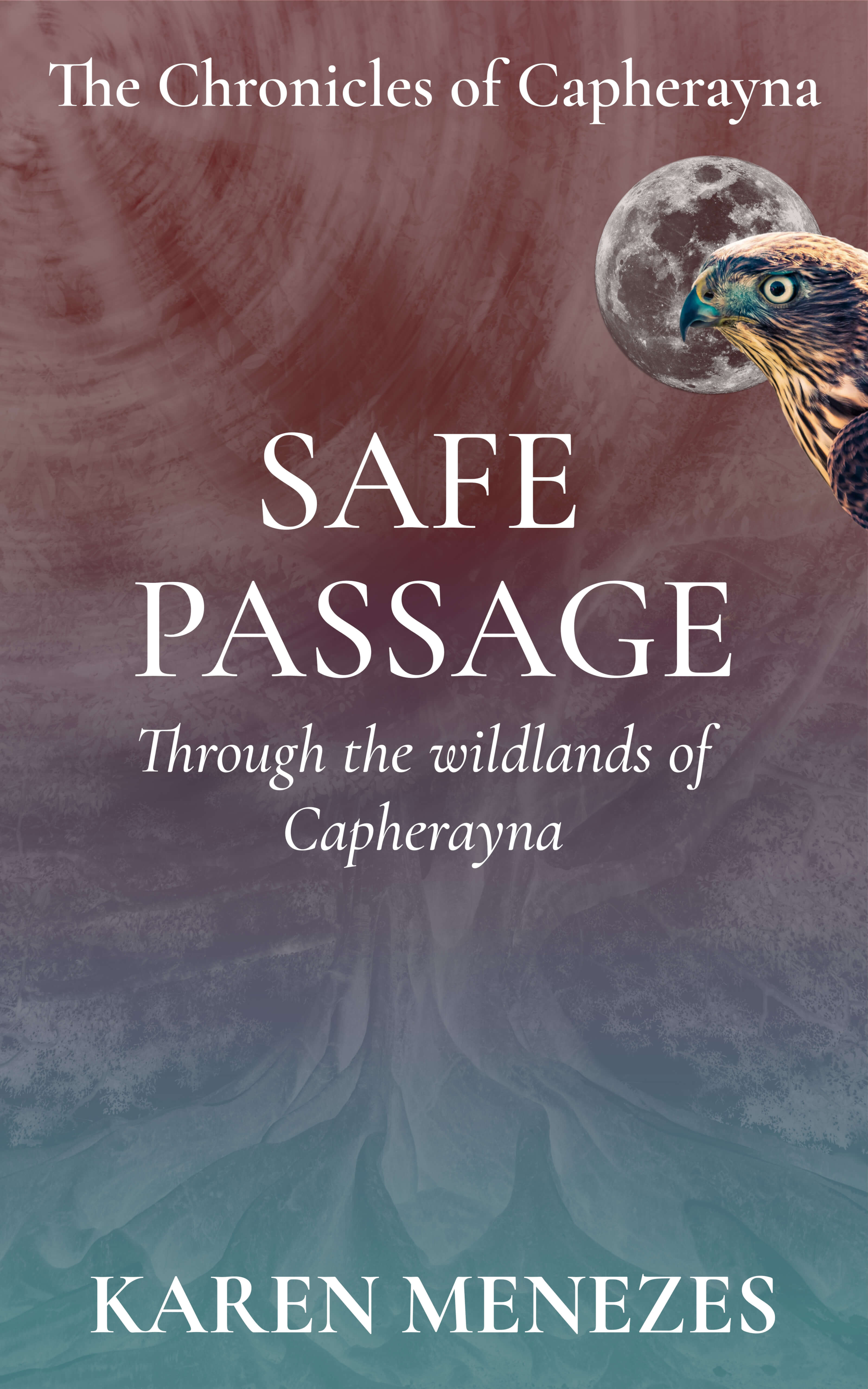 Safe Passage book cover