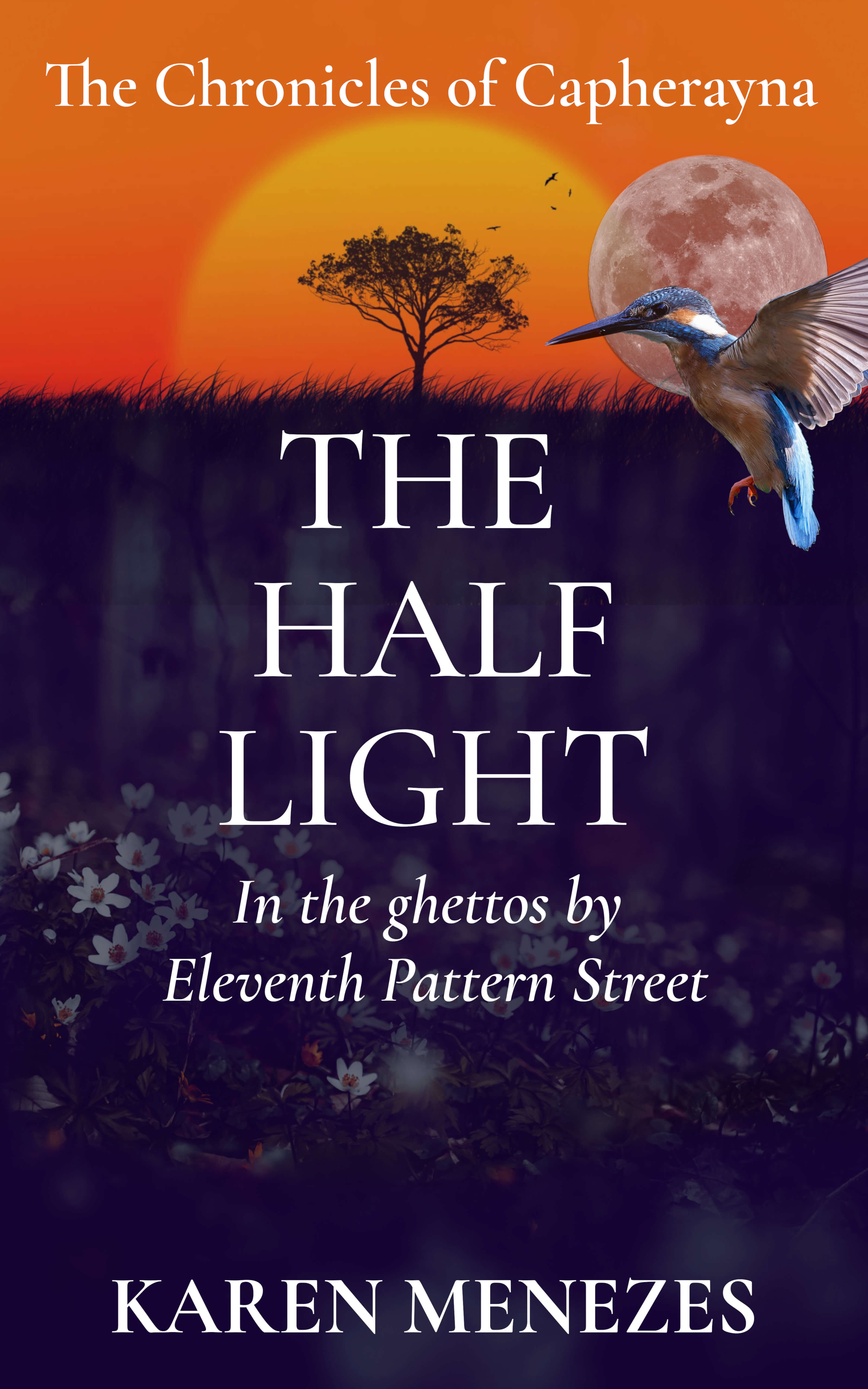 The Half Light book cover