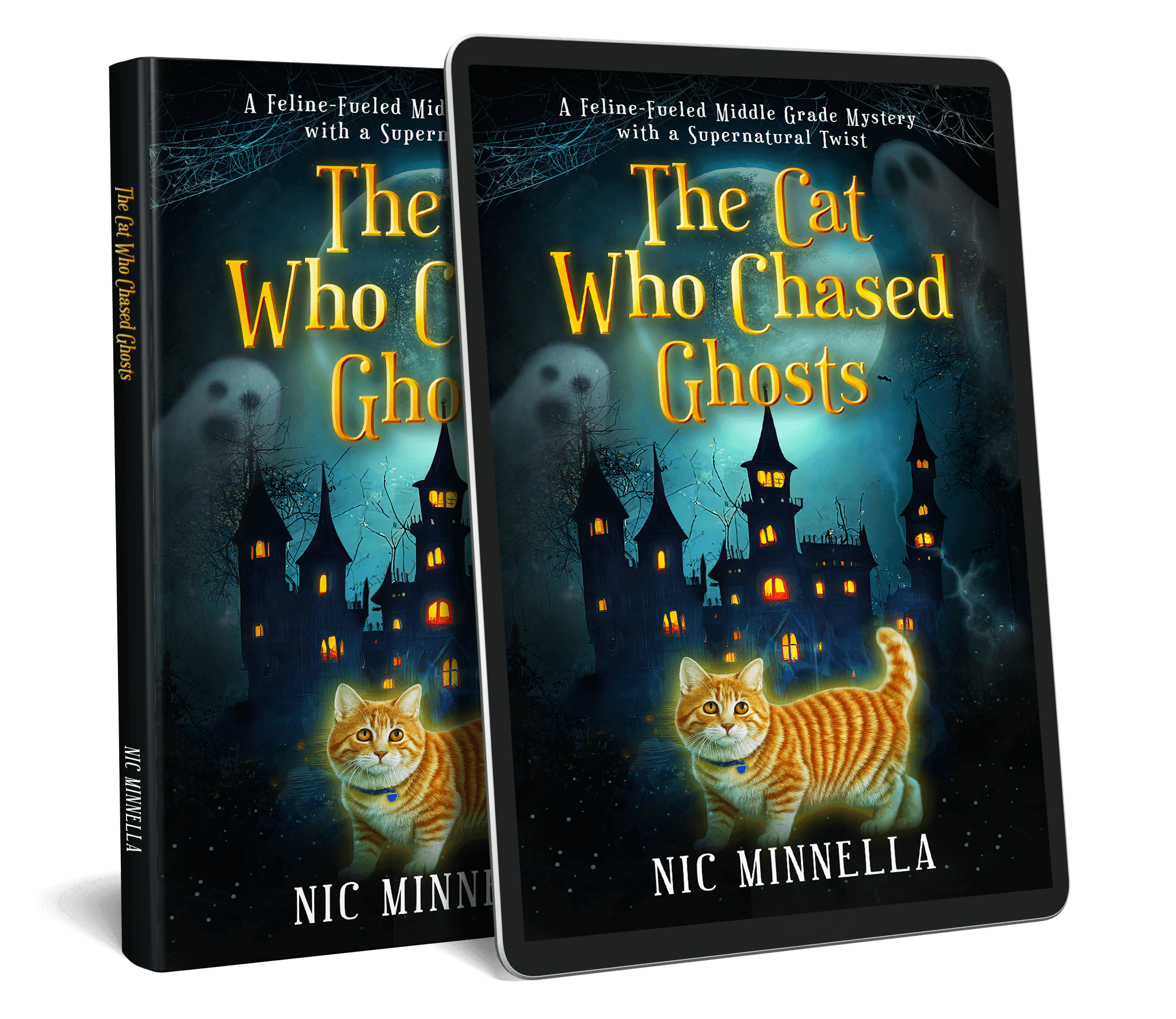 The Cat Who Chased Ghosts 3D Covers