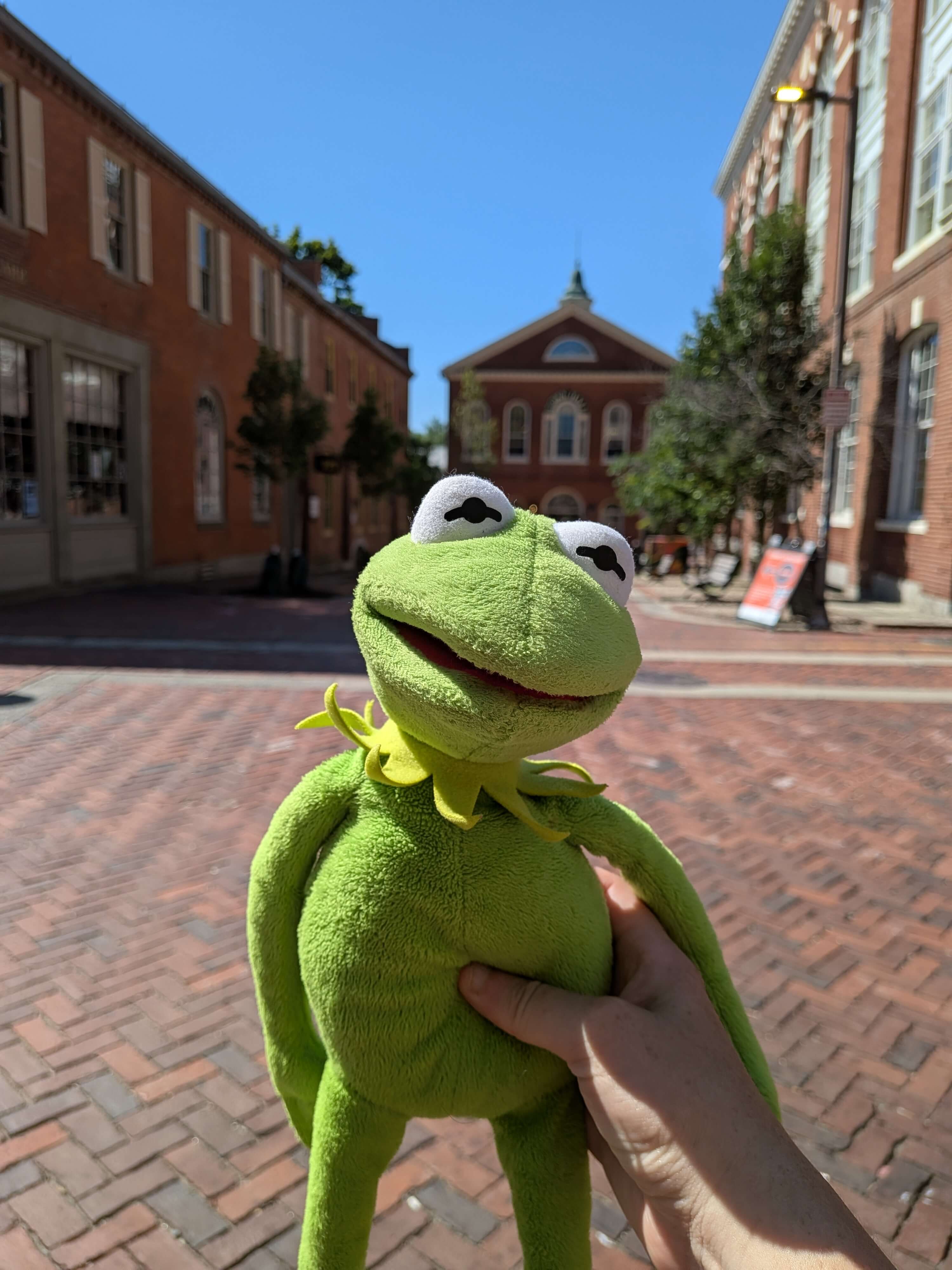 Kermit's Adventures in Salem - Laura's Books and Blogs