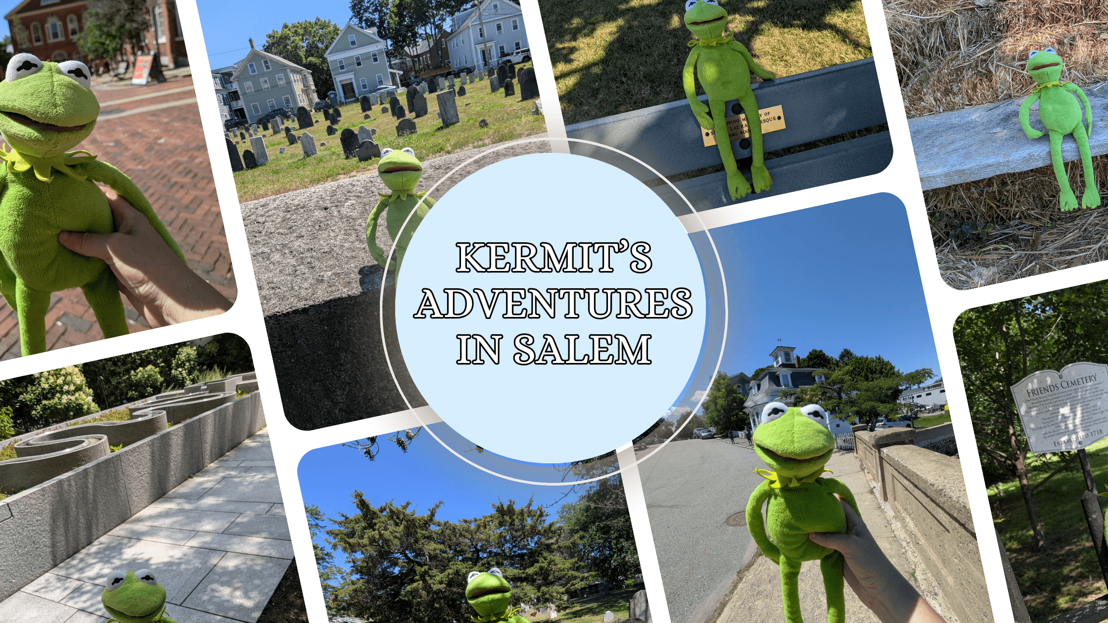 Kermit's Adventures in Salem - Laura's Books and Blogs