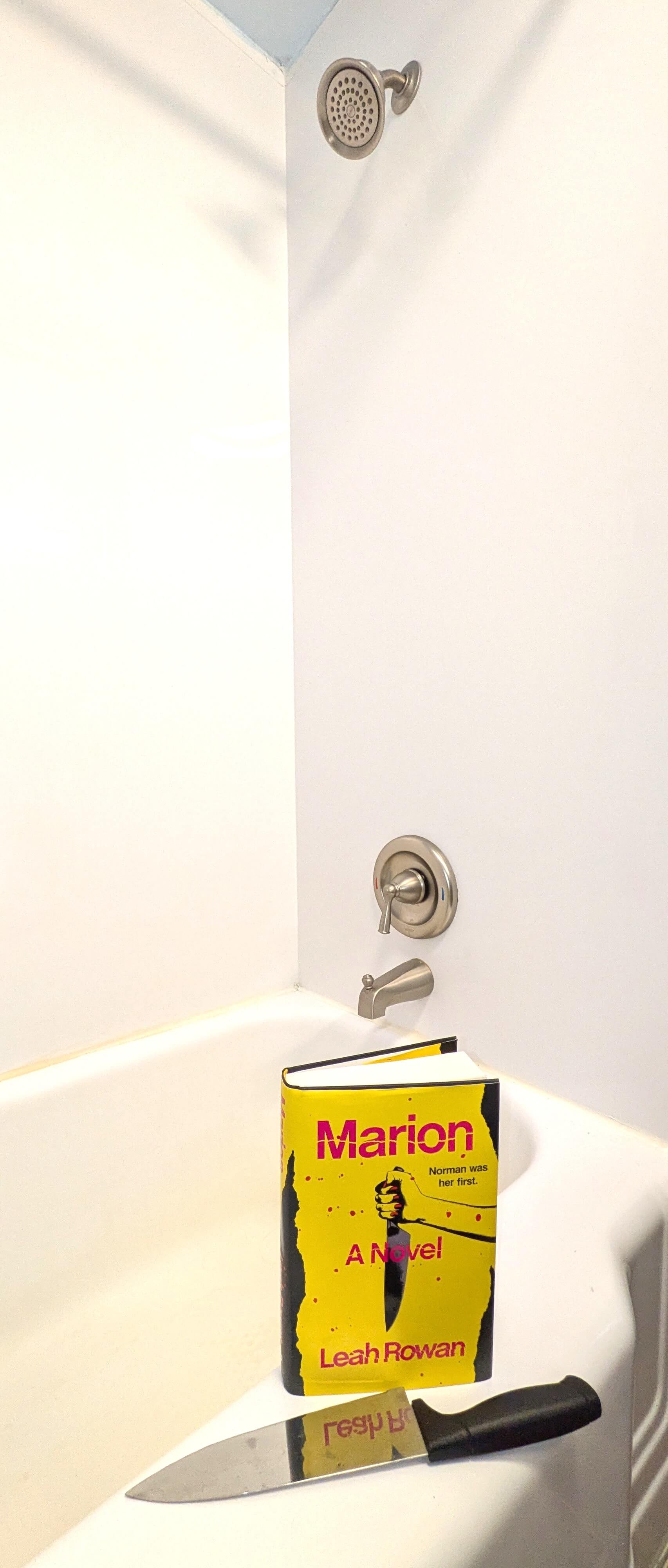 Marion book cover with shower